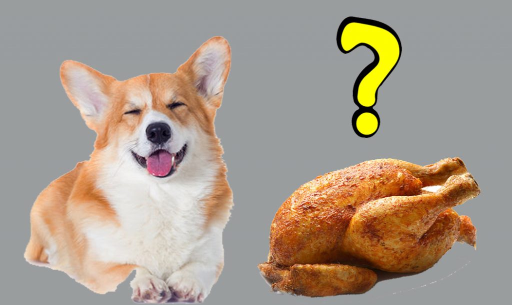 Is Canned Chicken Good For Dogs