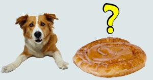Can dogs eat honey buns