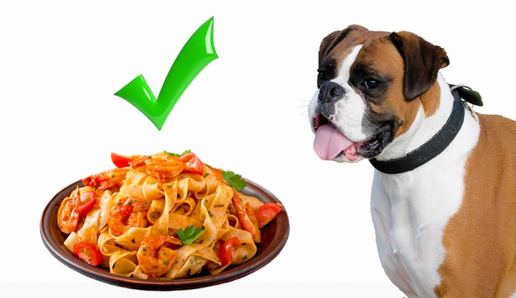 Can Dogs Eat Pasta for Upset Stomach 