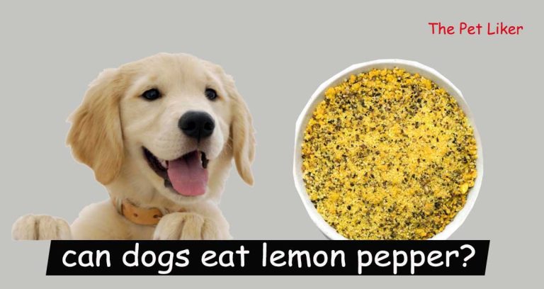Can dogs eat lemon pepper