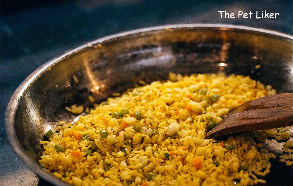 Is Yellow Rice good for dogs