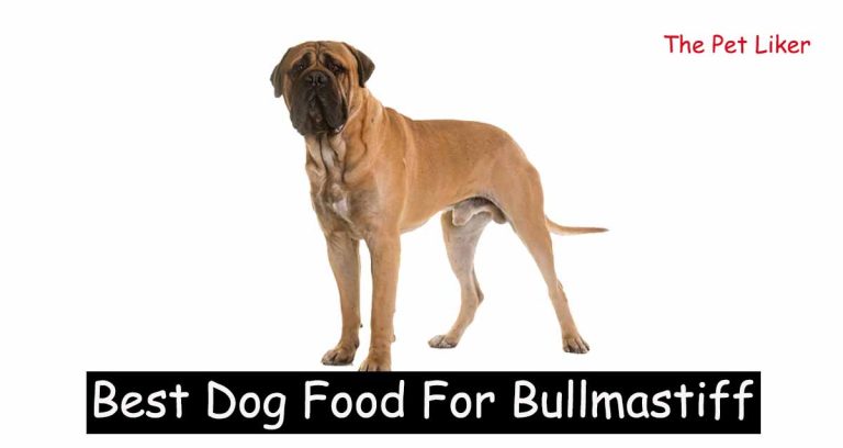 Best Dog Food For Bullmastiff