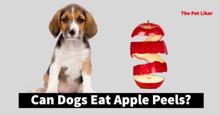 Can Dogs Eat Apple Peels
