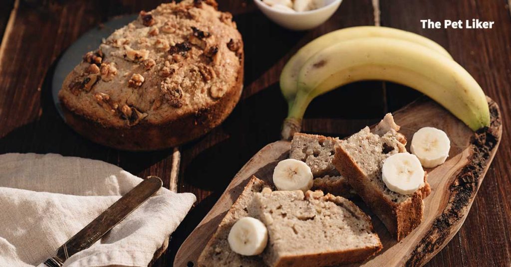 Is banana bread safe for cats