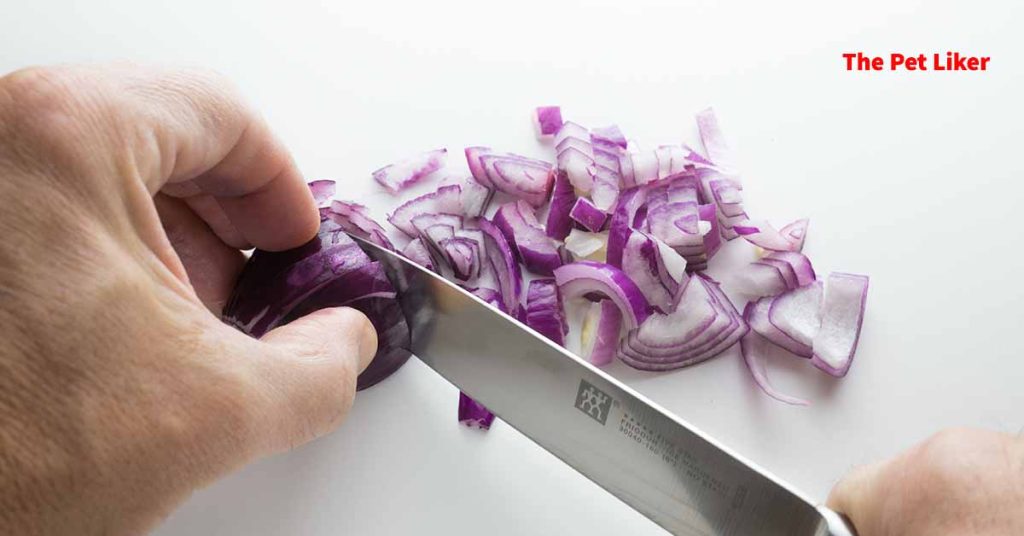 The Nutritional Value of Onion