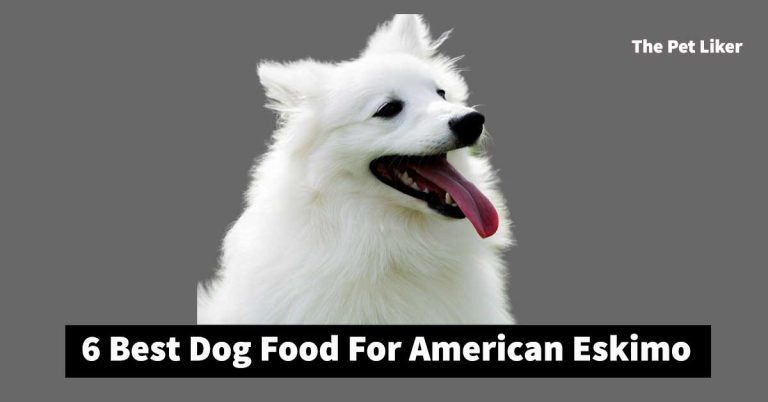 best dog food for American Eskimo