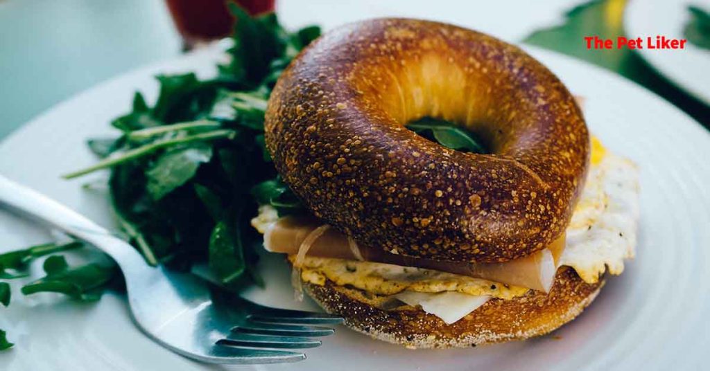 Are bagels healthy for rabbits