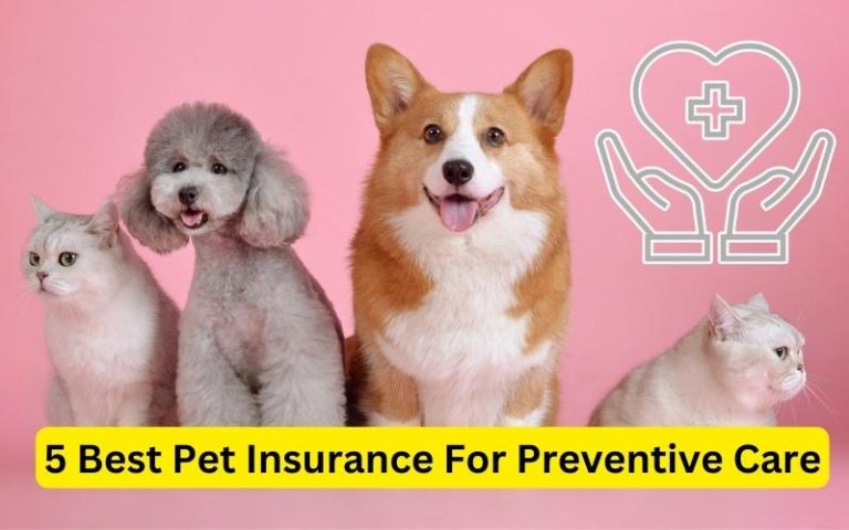 5 Best Pet Insurance For Preventive Care