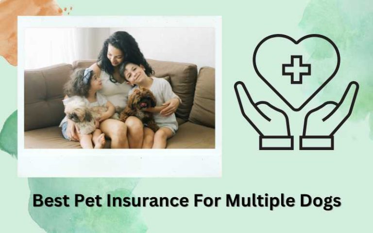 Best Pet Insurance For Multiple Dogs