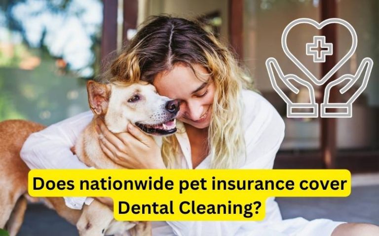 Does Nationwide Pet Insurance Cover Dental Cleaning?