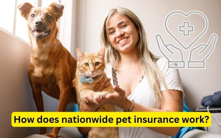 How Does Nationwide Pet Insurance Work?
