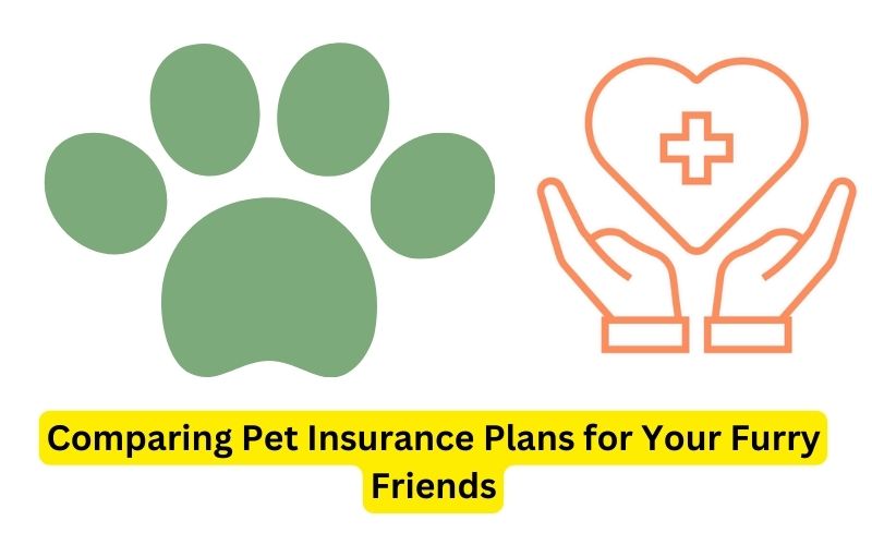 Comparing Pet Insurance Plans for Your Furry Friends