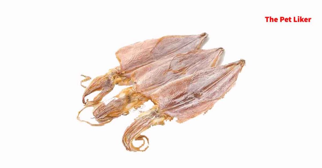 Dogs Eat Dried Squid