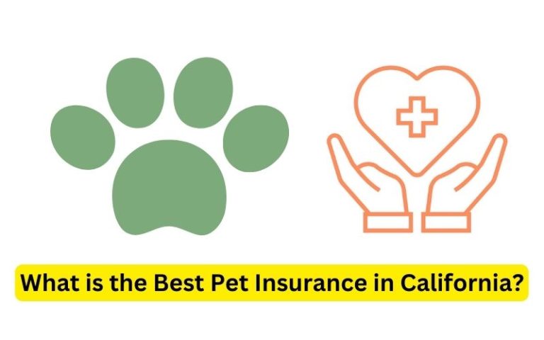 Pet Insurance For Dogs In California