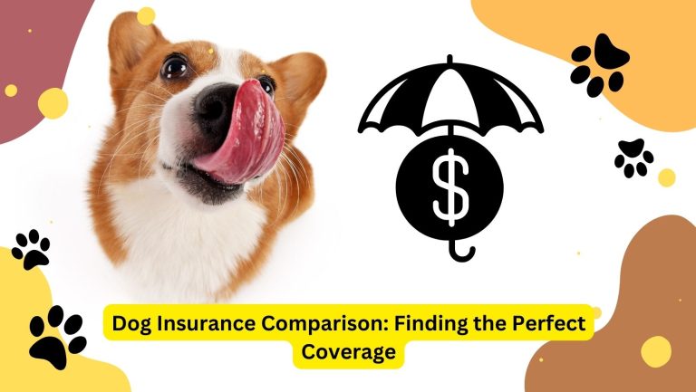 Dog Insurance Comparison