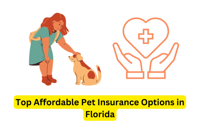 Top Affordable Pet Insurance Options in Florida