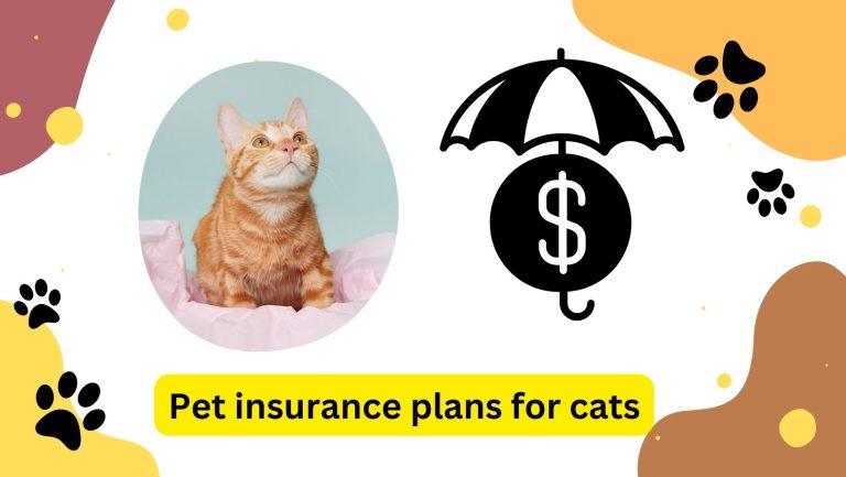 pet insurance plans for cats