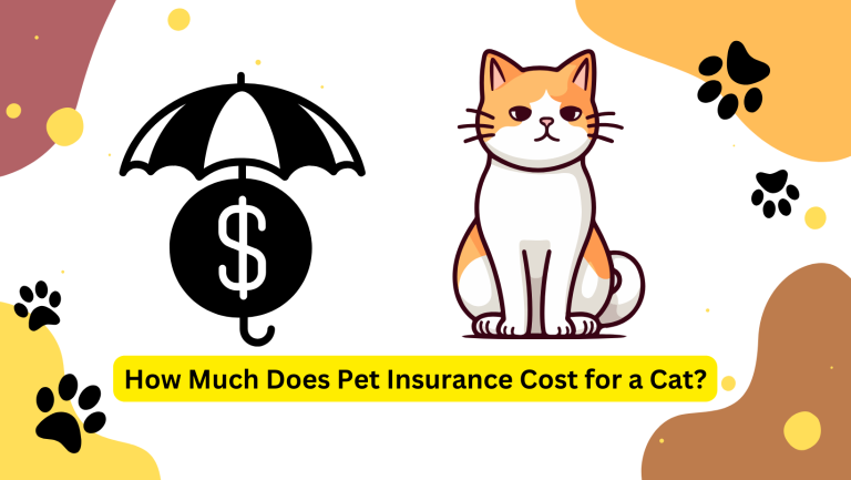 How Much Does Pet Insurance Cost for a Cat