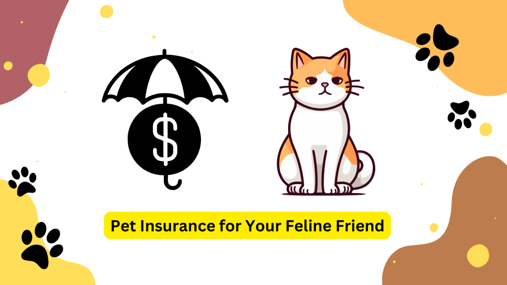 Pet Insurance for Your Feline Friend