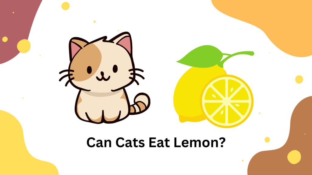 Can Cats Eat Lemon