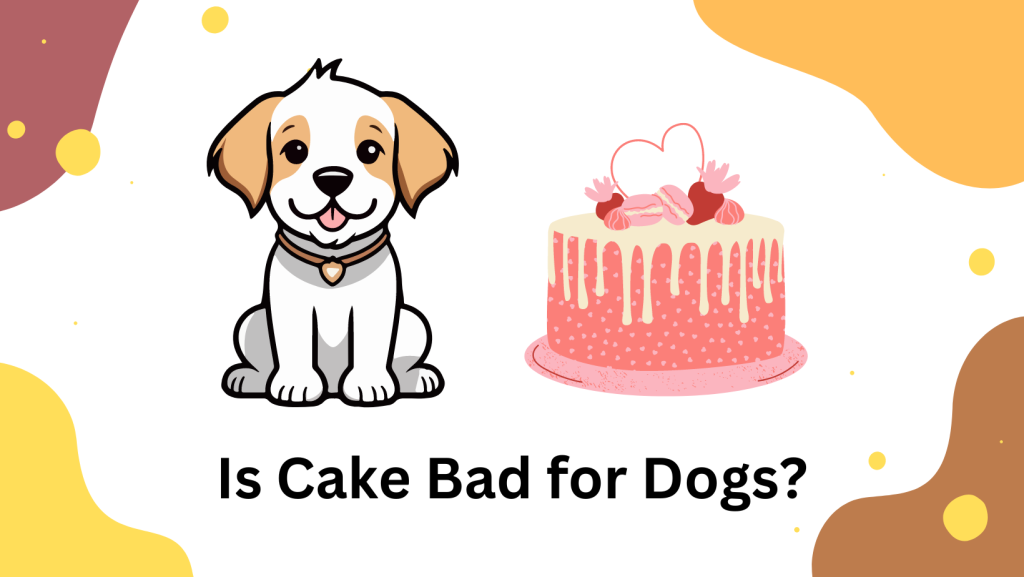 Is Cake Bad for Dogs