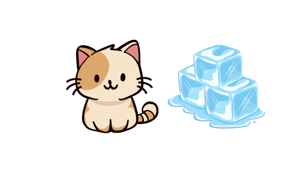 cat and ice